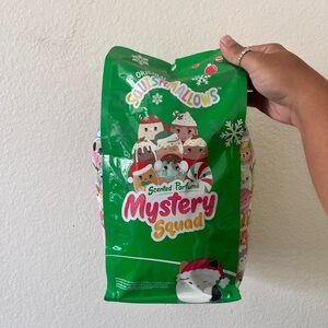 New in Bag Holiday Squishmallows Mystery Squad